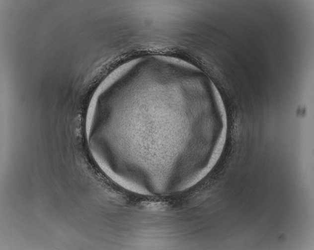 X0000110690689200907021934