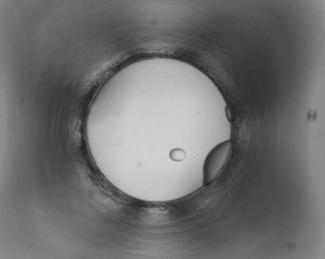 X0000110690692200907021934