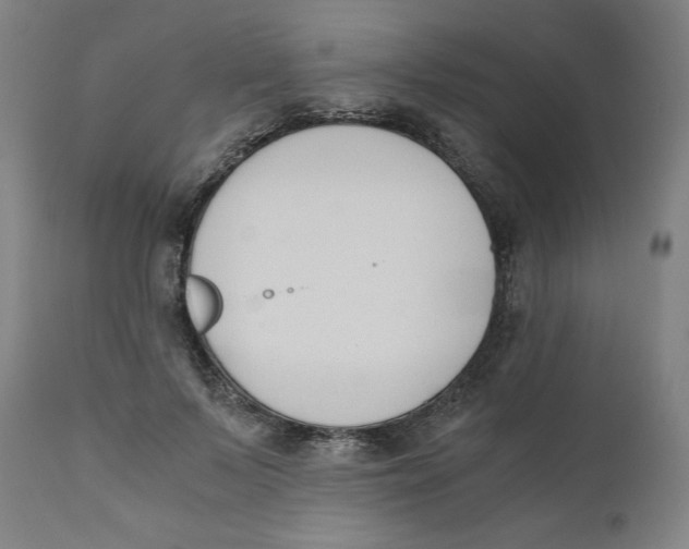 X0000110690695200907021934