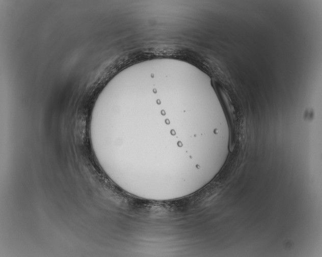 X0000110690697200907021934