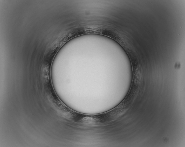 X0000110690699200907021934