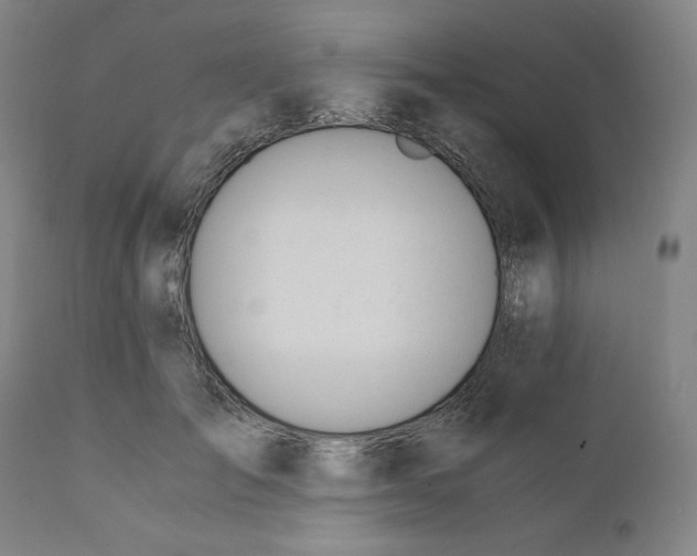 X0000110690701200907021934