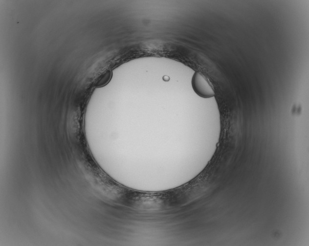 X0000110690702200907021934