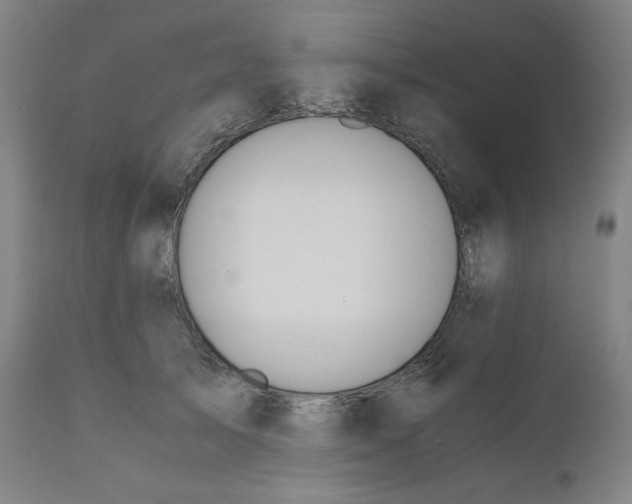 X0000110690705200907021934