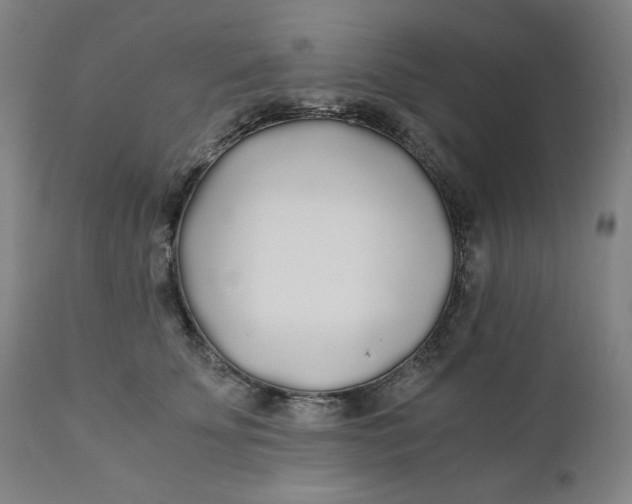 X0000110690707200907021934