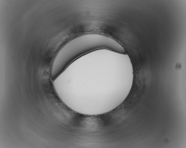 X0000110690708200907021934