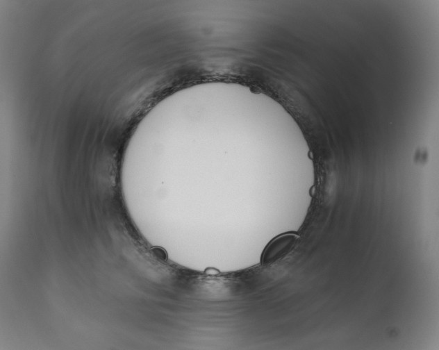 X0000110690710200907021934