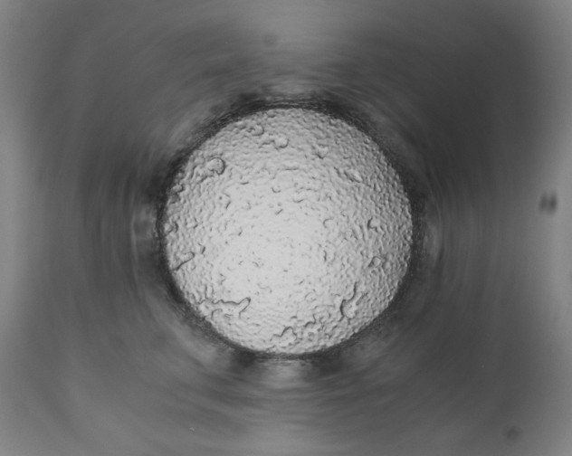 X0000110690711200907021934