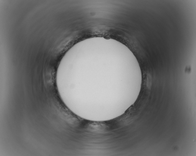 X0000110690712200907021934