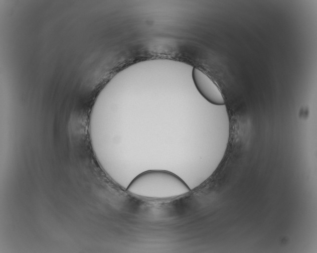 X0000110690713200907021934