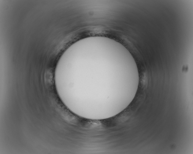 X0000110690715200907021934