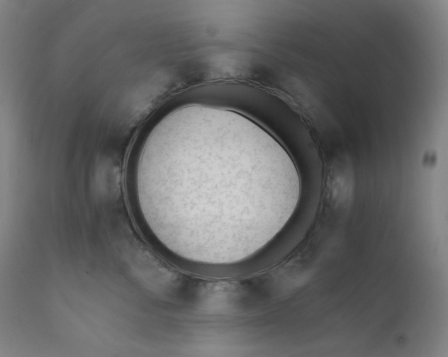 X0000110690716200907021934