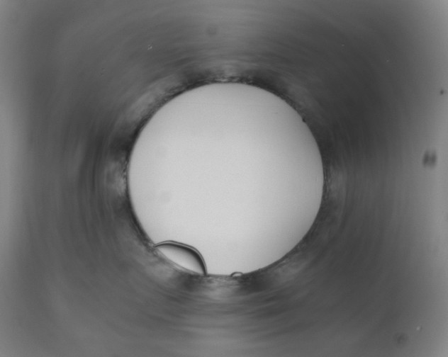 X0000110690719200907021933