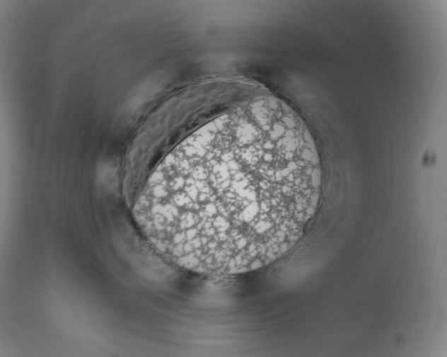 X0000110690720200907021933