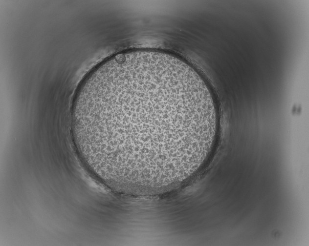 X0000110690721200907021933