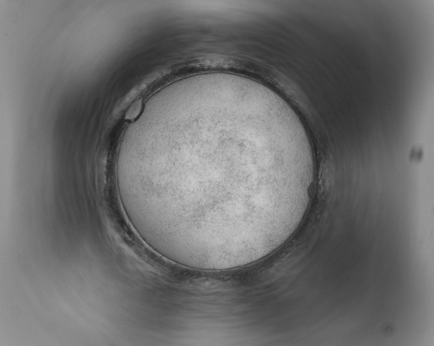 X0000110690722200907021933