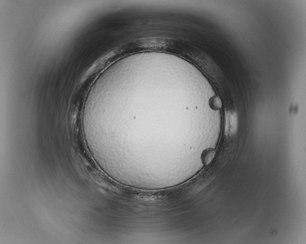 X0000110690723200907021933