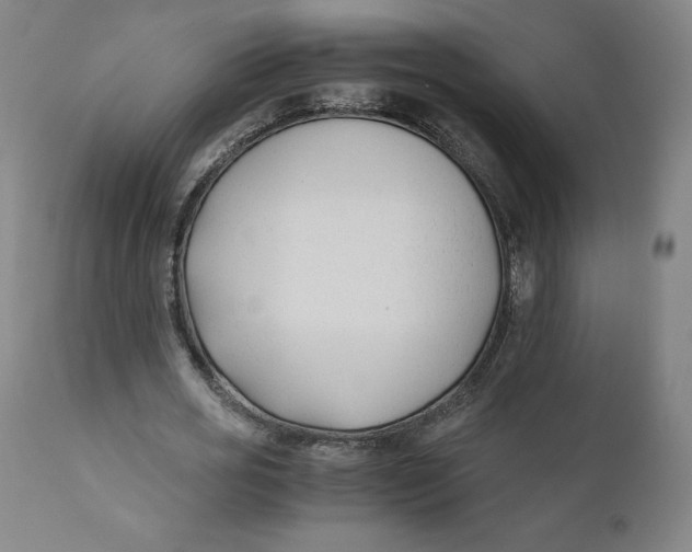 X0000110690725200907021933