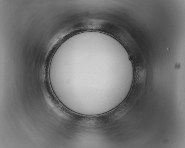 X0000110690726200907021933