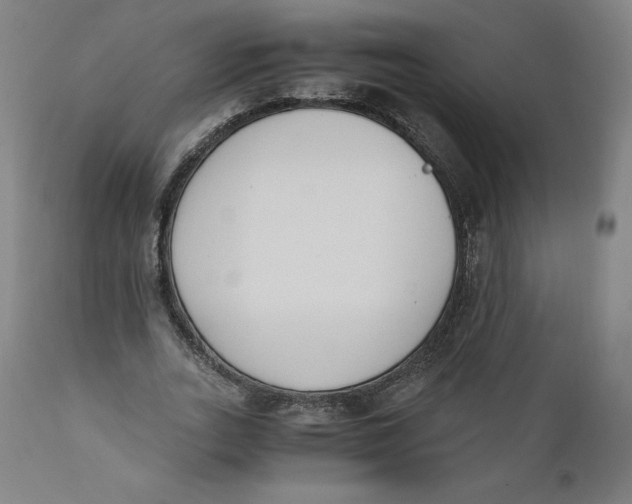 X0000110690727200907021933