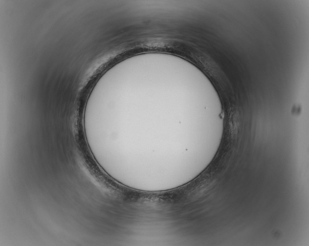 X0000110690728200907021933