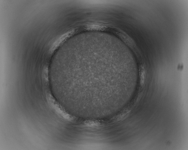 X0000110690729200907021933