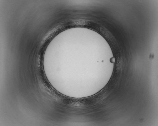 X0000110690731200907021933