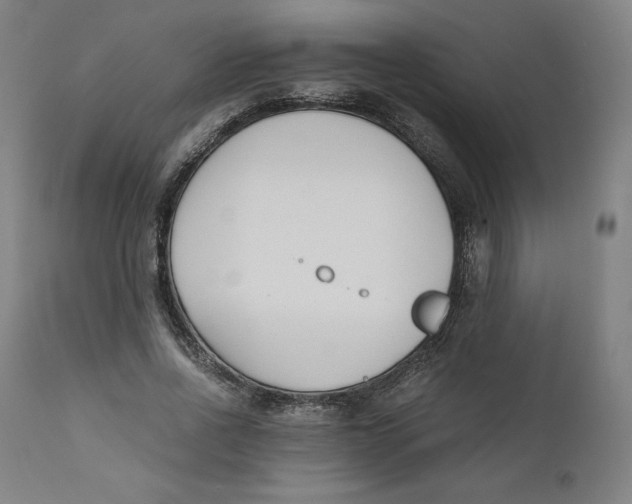 X0000110690734200907021933