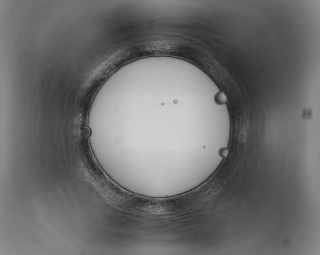 X0000110690735200907021933