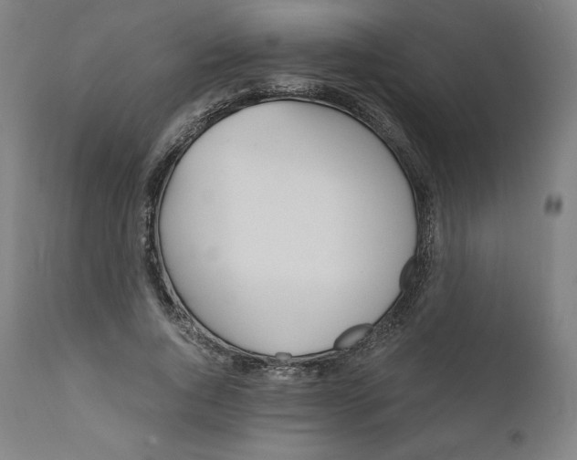 X0000110690736200907021933