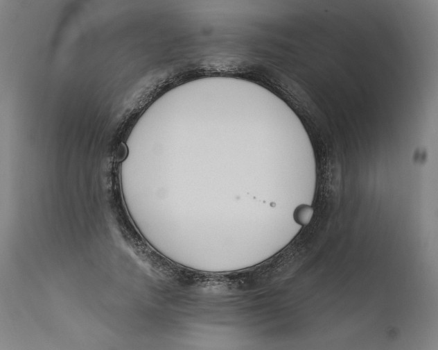 X0000110690738200907021933