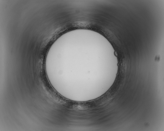 X0000110690739200907021933