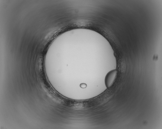 X0000110690740200907021933