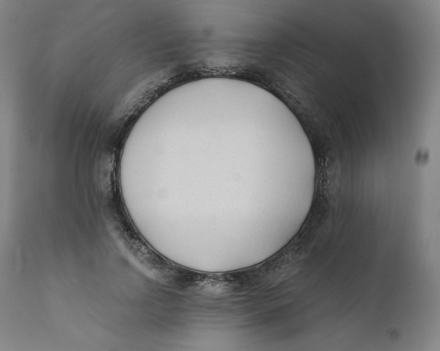 X0000110690742200907021933