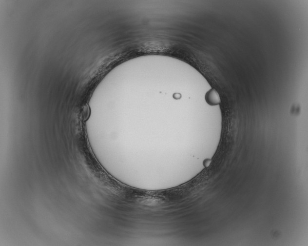 X0000110690743200907021933