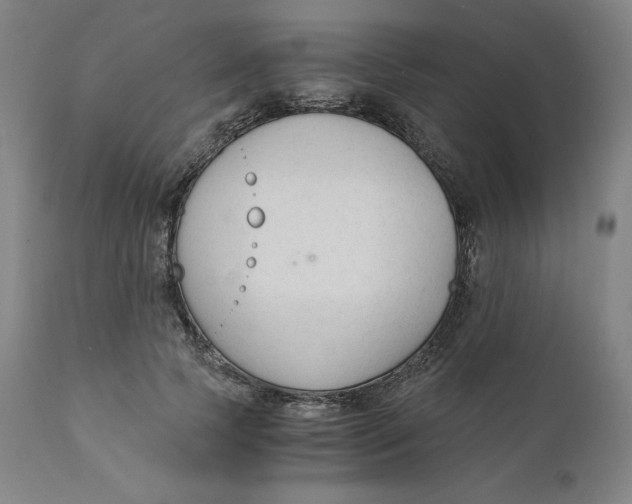 X0000110690745200907021933