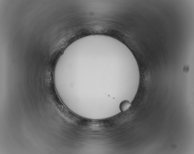 X0000110690746200907021933