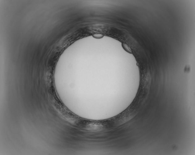 X0000110690749200907021933