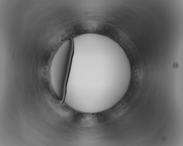 X0000110690750200907021933