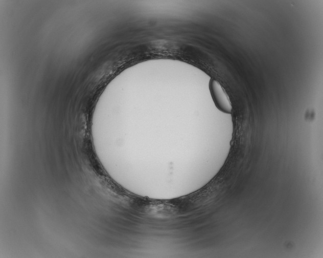 X0000110690752200907021933