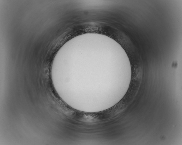 X0000110690753200907021933