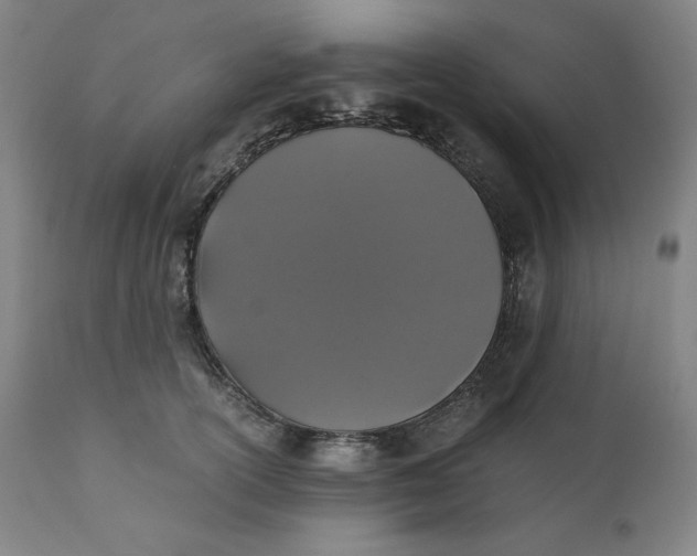 X0000110690754200907021933