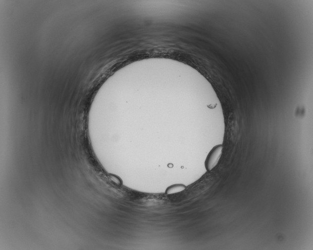 X0000110690756200907021933