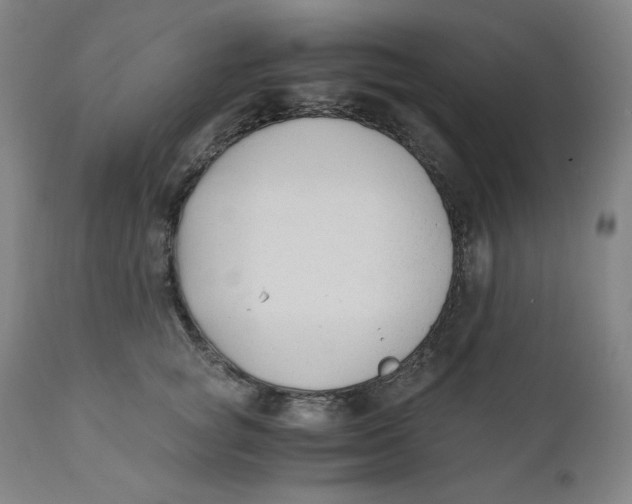 X0000110690757200907021933