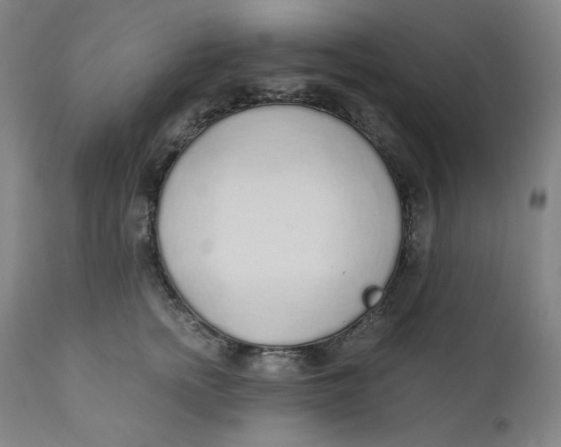 X0000110690758200907021933