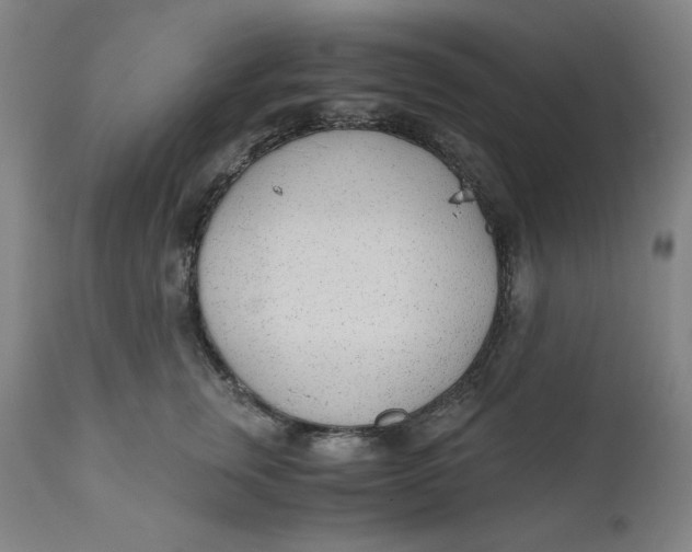 X0000110690759200907021933