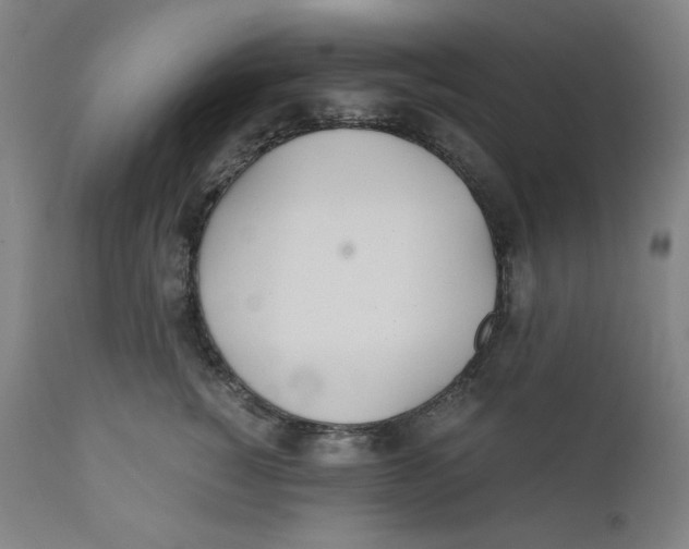 X0000110690760200907021933