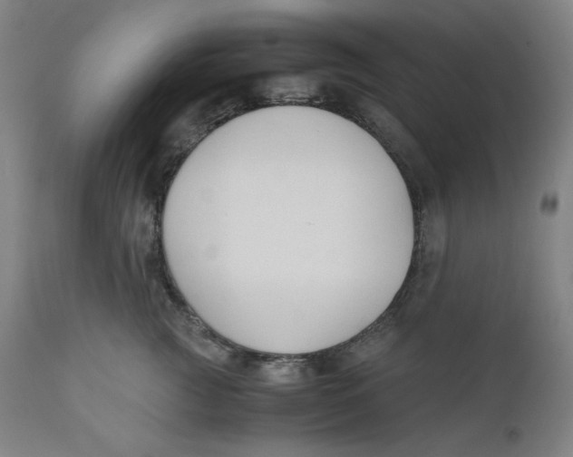 X0000110690761200907021933