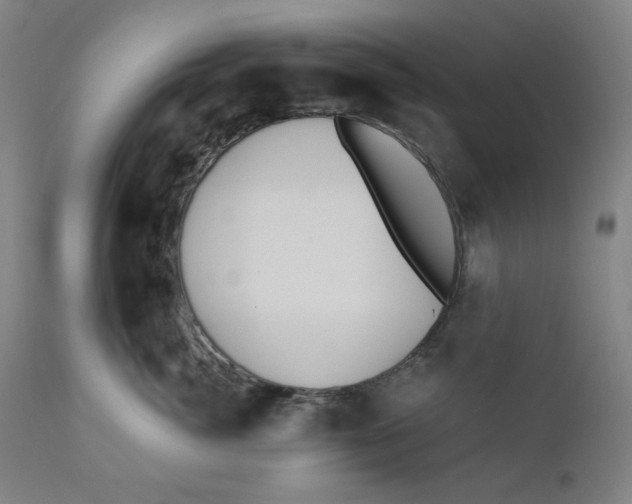 X0000110690764200907021933