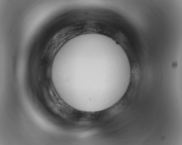 X0000110690765200907021933